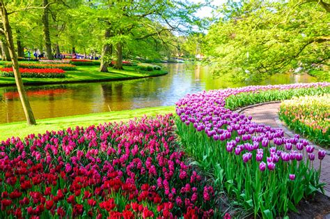 Keukenhof Park: tickets, timetables and useful information for the ...