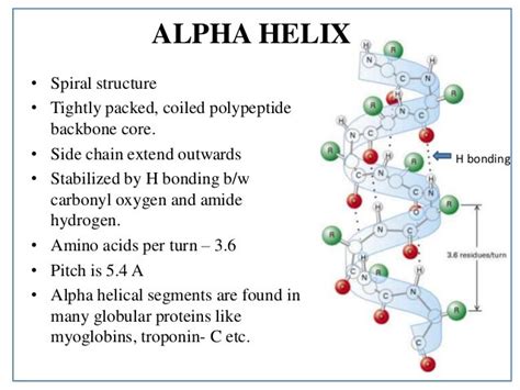 Secondary Structure Of A Protein