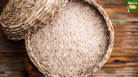 ‘Bharat rice' coming soon, to retail at discounted rate of Rs 25/kg: Report