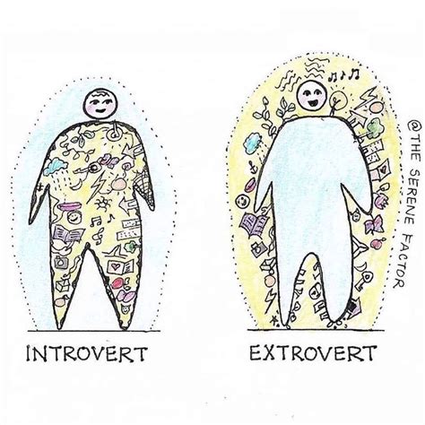 Introverts Are Us on Instagram: “A cool illustration of #introversion via @TheSereneFactor # ...