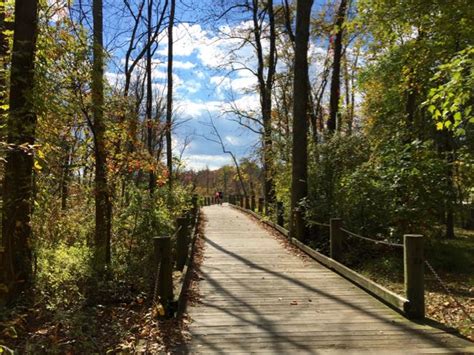 Dyke Marsh and Mount Vernon Trail Hikes Near DC