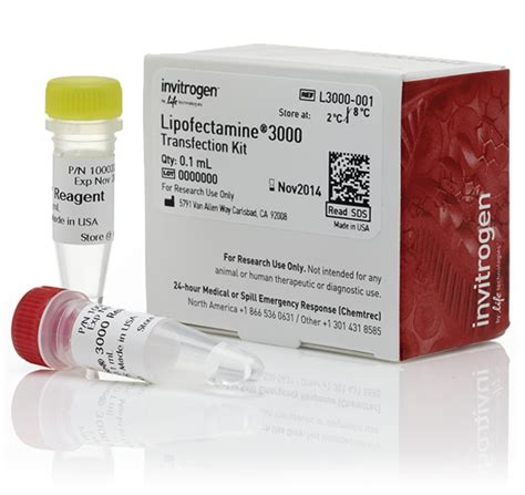 Lipofectamine 3000 Transfection Reagent - Thermo Fisher Scientific