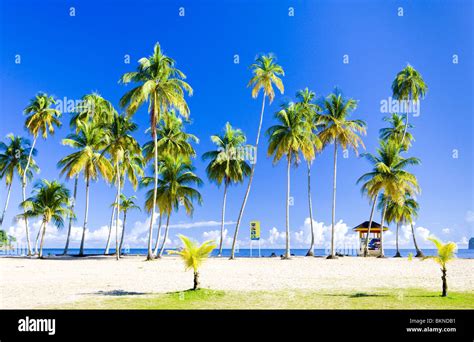 Maracas Bay; Trinidad Stock Photo - Alamy