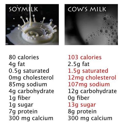 Nutritional Comparison: Soymilk vs. Cow’s Milk | Soy milk nutrition, Soy milk, Cow’s milk