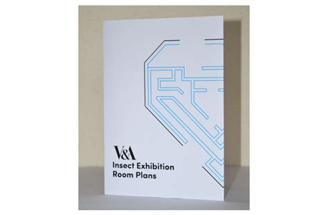 Insect Exhibition Concept on Behance