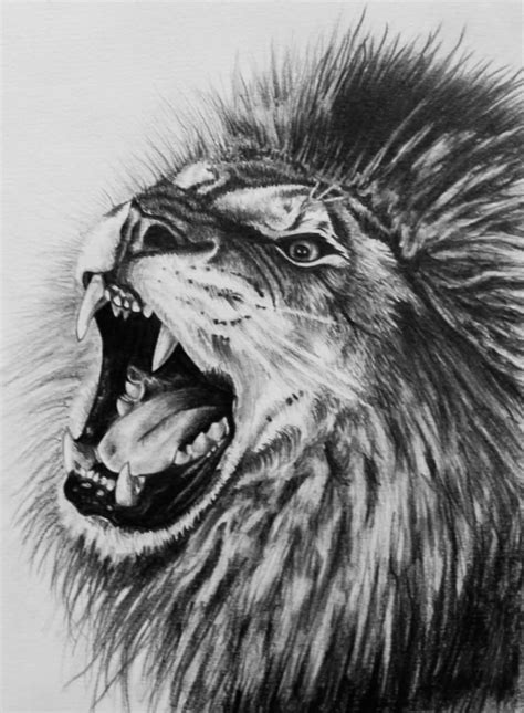 29+ pencil sketch of roaring lion - AnnmarieOak