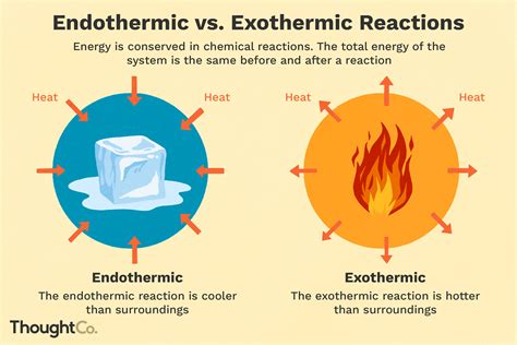 Understanding Endothermic and Exothermic Reactions | Chemistry ...