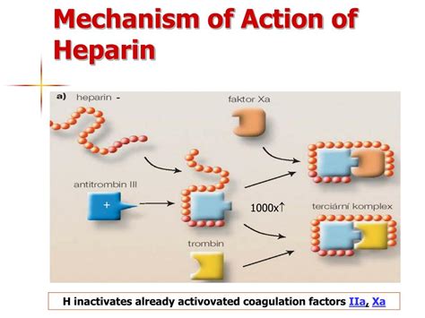 Rivaroxaban Mechanism Of Action