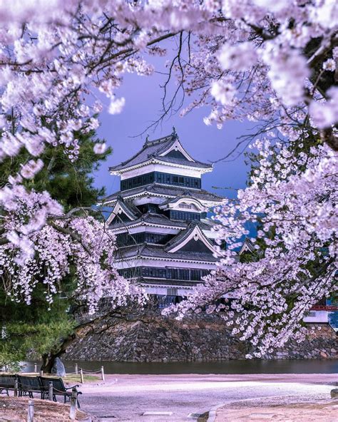 Matsumoto Castle | Kumamoto castle, Travel around the world ...