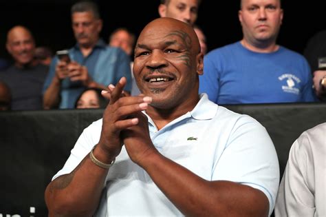 Mike Tyson’s airplane punching bag is ‘Florida Man’ with extensive ...