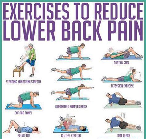 How To Reduce Lower Back Pain ~ Some exercises - Inspirational Quotes ...