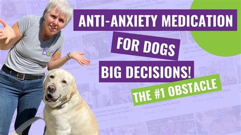 Anti-Anxiety Medication for Dogs – The #1 Obstacle to Saying YES! - YouTube