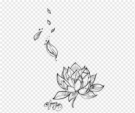 Black And White Lotus Flower Drawings | Best Flower Site