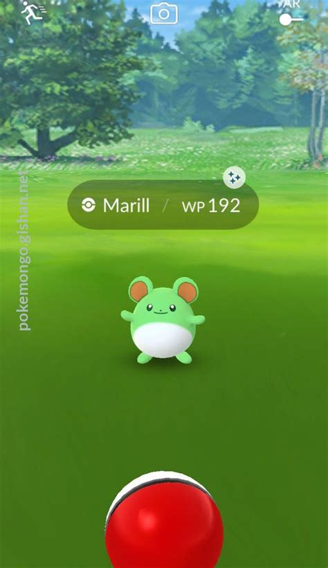 Shiny Marill - Pokemon Go