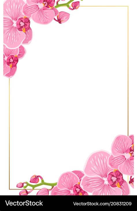 Pink orchid flowers border frame template card Vector Image