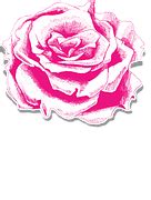 Free photo: Rose, Drawing, Image, Painting - Free Image on Pixabay - 5828
