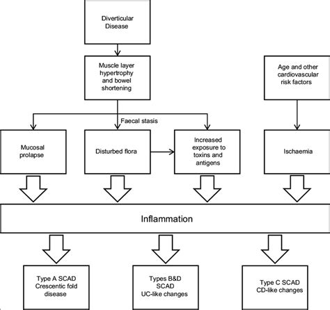 [DIAGRAM] Copd Pathophysiology Diagram - MYDIAGRAM.ONLINE