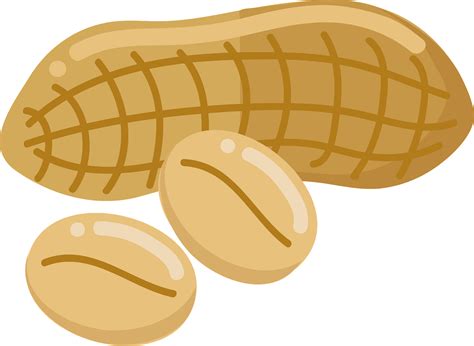 Peanut Clip Art