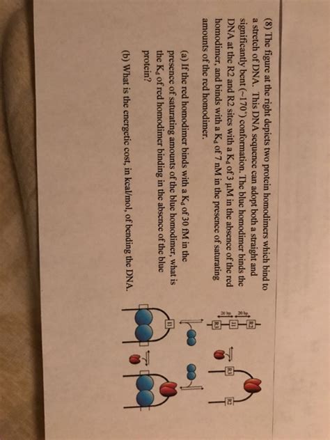 The figure at the right depicts two protein | Chegg.com