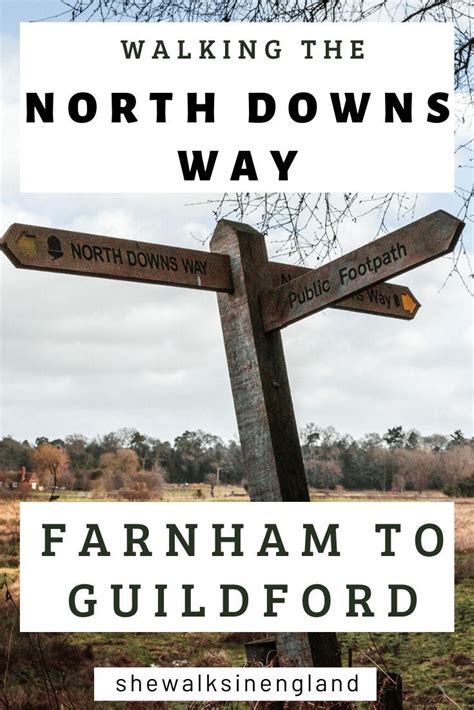 Walk the North Downs Way | Day trips from london, Farnham, England