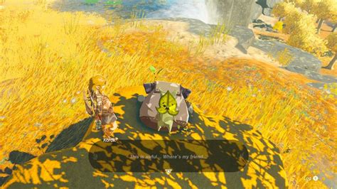 Tears of the Kingdom players are subjecting one poor Korok to their zany contraptions