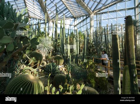 Palmengarten, botanical garden in Frankfurt, Tropicarium and skyline of Frankfurt, Germany Stock ...