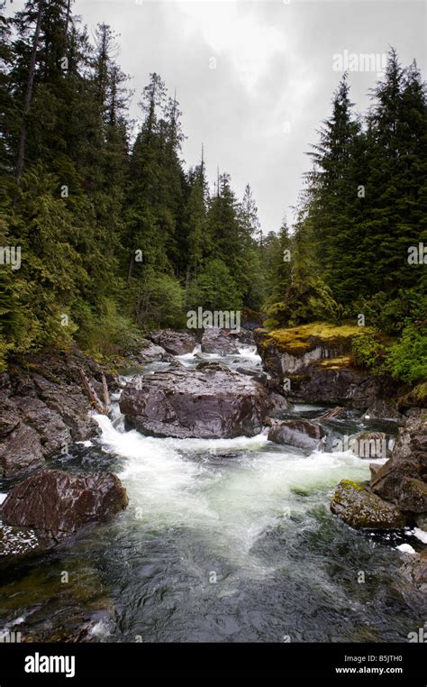 Gold River, British Columbia Stock Photo - Alamy