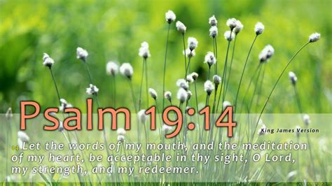 🔥 [50+] Psalms 19 14 Wallpapers | WallpaperSafari