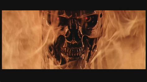 terminatorFlame - Terminator Photo (1553309) - Fanpop