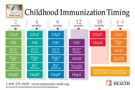 Louisiana Immunization Schedule 2024 - Ashil Lurlene