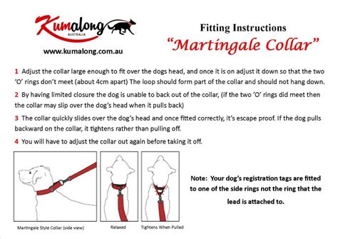 LARGE Martingale Collar For Dogs (Spun) | Kumalong