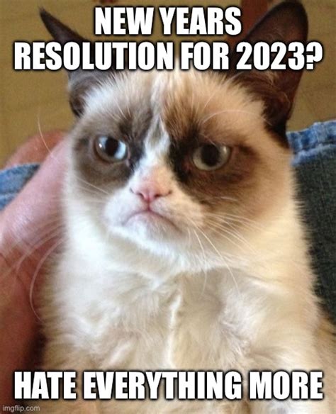 Funny New Years Resolution Memes for 2023 - Lola Lambchops