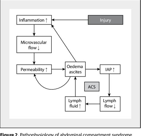 Figure 1 from Role of permissive hypotension, hypertonic resuscitation ...