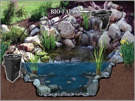 How To Build A Backyard Koi Pond You Can Enjoy For Years - Just Add Water