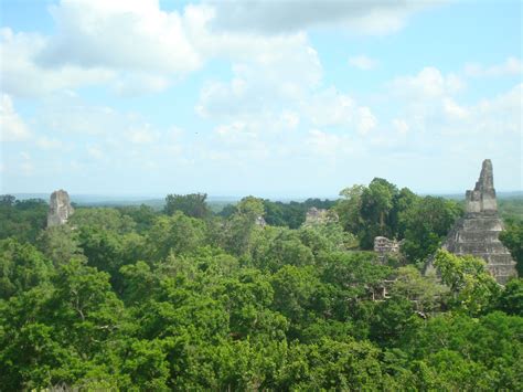 Jungle temples of Tikal, Guatemala | Jungle temple, Tikal, Monument valley