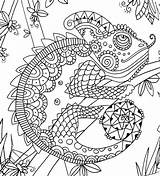 Chameleon Complex coloring Page  Download Print Or Color Online For Free sketch template