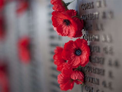 Dedication of our new War Memorial – Great Witchingham Parish Council's ...