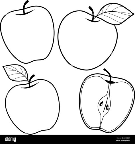 Apples. Vector black and white illustration Stock Vector Image & Art - Alamy