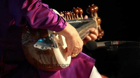 What Is The Sarod Instrument? The Lesser-Known Indian Gem - Folkstrings.com