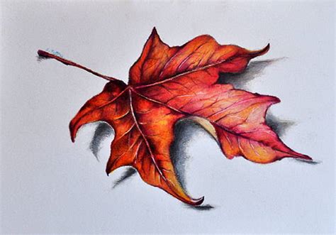 FREE 9+ Leaf Drawings in AI