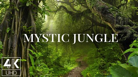 4K Mystic Jungle Forest - Wallpapers/Screensavers | ProArtInc