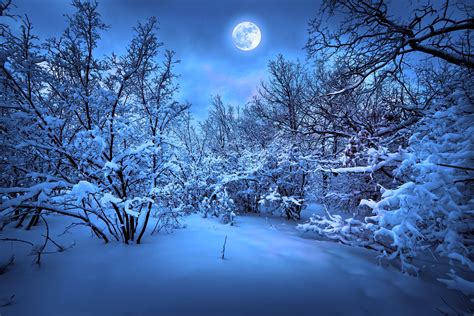 Winter Night Wallpaper 1920x1080