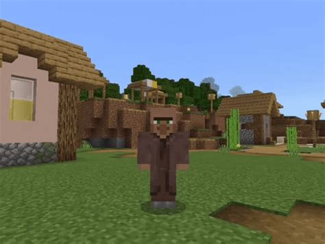 Villager Skin Pack | Village, Skin, Image form