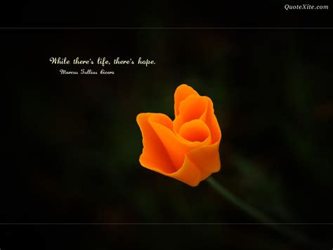 trololo blogg: Wallpaper Quotes Download