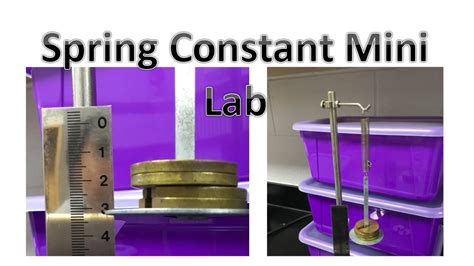 Spring Constant Lab 1A - Measuring the spring constant using static ...