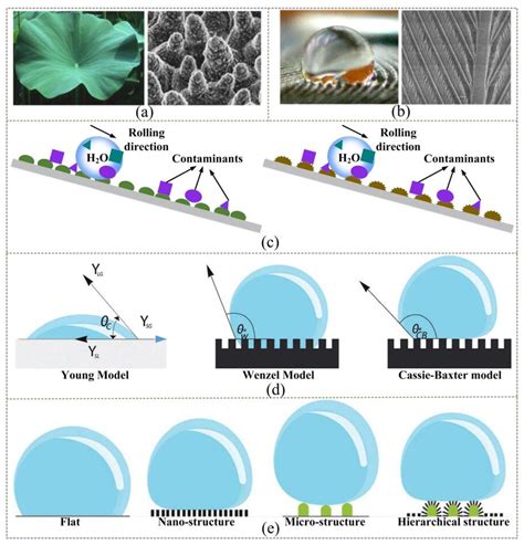 Coatings | Free Full-Text | Recent Advances in Superhydrophobic and ...