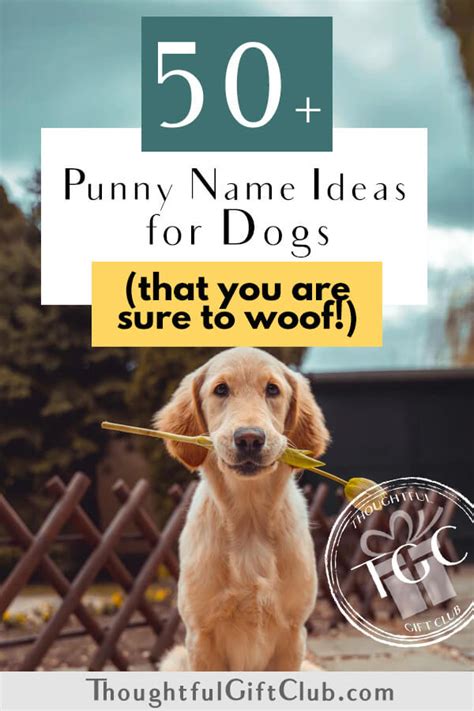 50+ Dog Pun Names That We're Sure You'll Woof