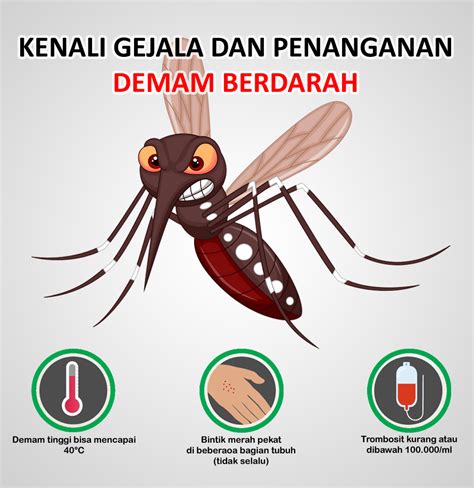 Kenali Gejala dan Penanganan Penyakit Demam Berdarah (Nyamuk Aedes ...