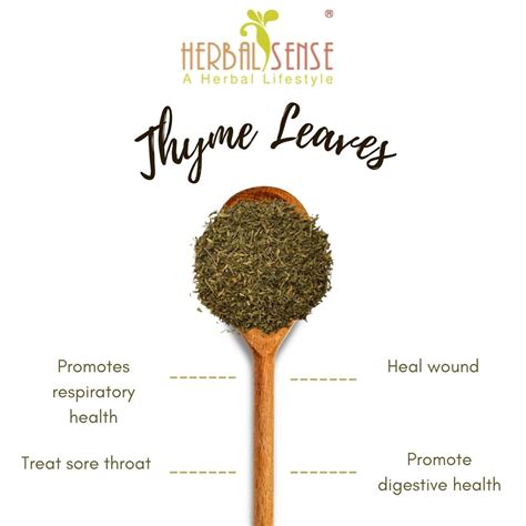 Thyme Leaves – Herbal Sense Life