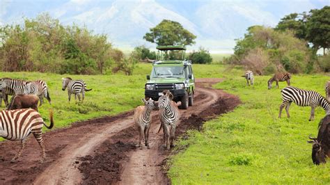 Fonds d'écran Kenya, Tanzanie, safari, zèbre 3840x2160 UHD 4K image